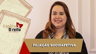 Explica Direito Filiação Socioafetiva  2019 [upl. by Jarrell417]